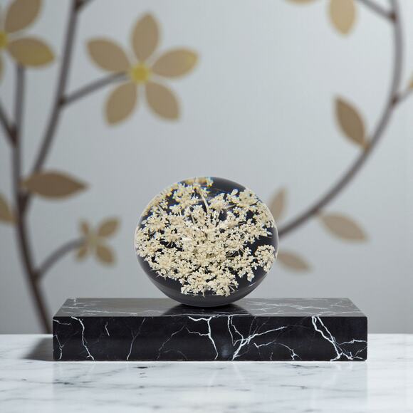 Tarax Infinity Vintage Lucite Acrylic Paperweight Queen Anne’s Lace Canada - Picture 1 of 7